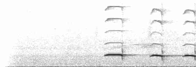 Weißflecken-Ameisenpitta - ML523434231