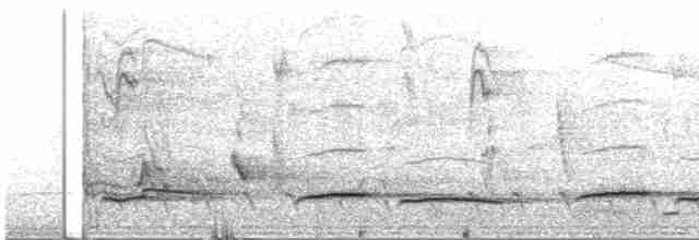 Зозуля-довгохвіст гірська - ML523461111