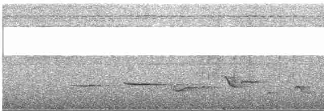 Habeş Yer Ardıcı (tanganjicae) - ML523462921