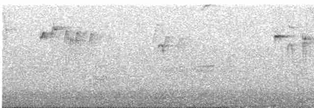 Evening Grosbeak (type 3) - ML523483671