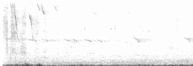 Grauflanken-Grasschlüpfer - ML523519031
