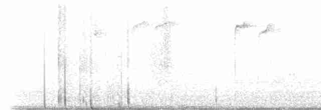 Kestane Karınlı Baştankara - ML523522931