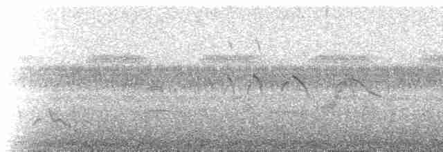 Серпокрилець-вилохвіст великий - ML523551