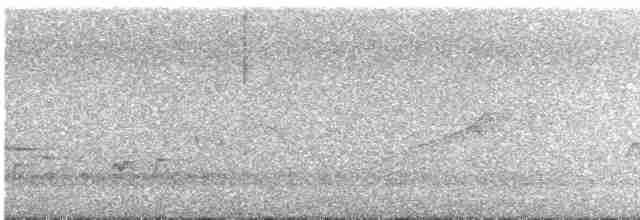 Зондский дронго - ML523566061
