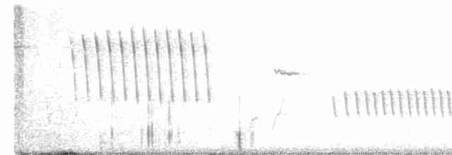 Moqueur à bec courbe - ML523575641