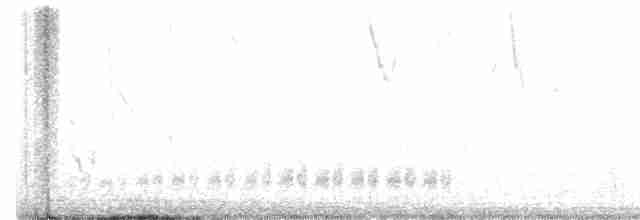 Кактусовый крапивник - ML523575831