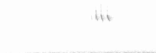 Chevêchette australe - ML523585461