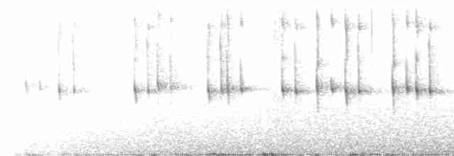 White-throated Treerunner - ML523586061