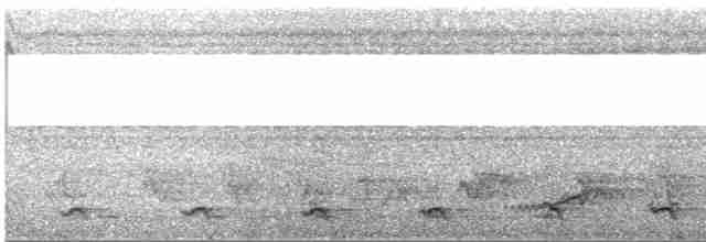 Çizgili Kuyruklu Trogon - ML523605321