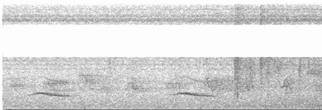 Cossyphe à gorge rousse - ML523605641