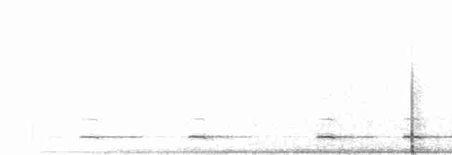 アメリカキンメフクロウ - ML523609861