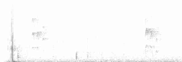 Küt Kuyruklu Genişgaga - ML523643071