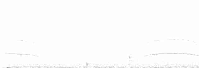 Boz Başlı Sinekkapan - ML523662401