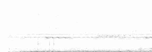 Riesennachtschwalbe - ML523783401