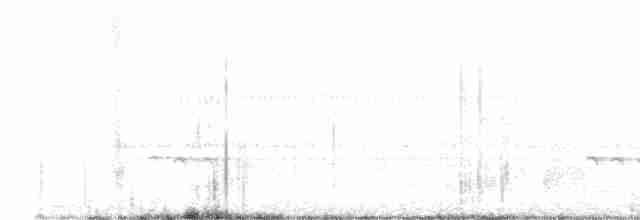 Сова-голконіг далекосхідна - ML523784721