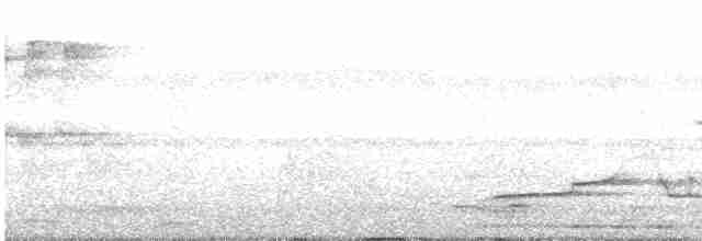 gråpannegrønndue - ML523791981