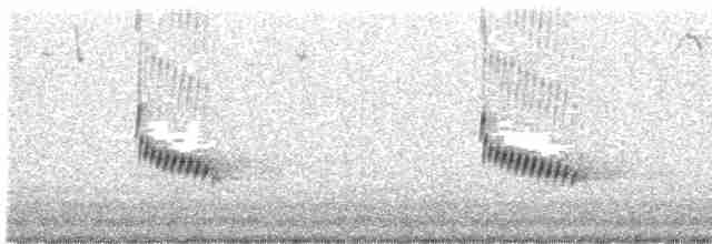 Karolina Çıtkuşu [ludovicianus grubu] - ML523811661