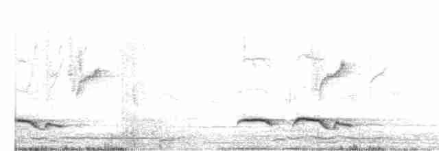 Зозуля білогорла - ML523816441