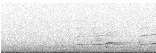 Haubenschlangenadler [cheela-Gruppe] - ML523824871