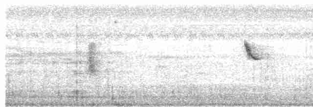 White-browed Meadowlark - ML523830491