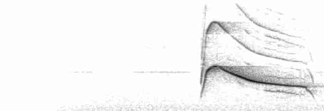  - Crane Hawk (Blackish)