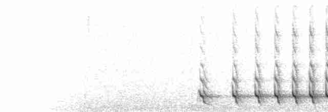  - Black-headed Trogon