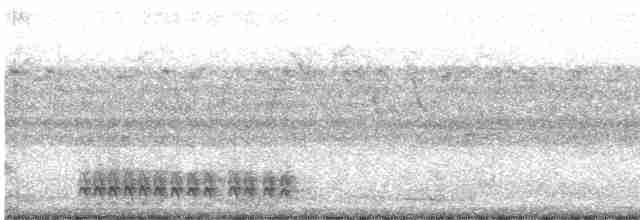 Sooretama Slaty-Antshrike - ML523856871