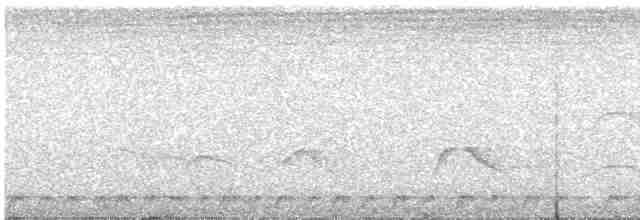 Белогорлый тюрко - ML523857371