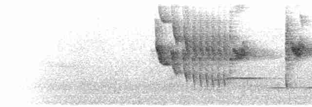  - American Pygmy Kingfisher