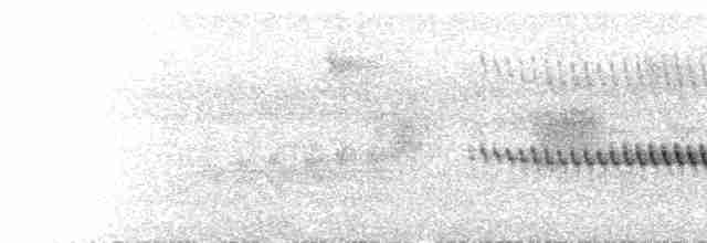 Timalie à poitrine blanche - ML523860881