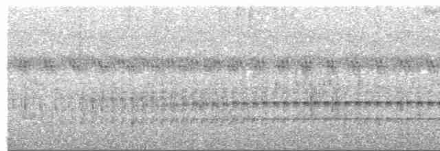 Kara Kulaklı Bityiyen - ML523867261