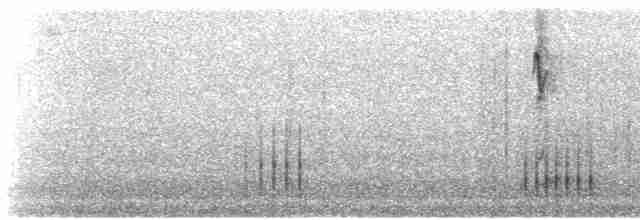 Black-billed Mountain-Toucan - ML523905561