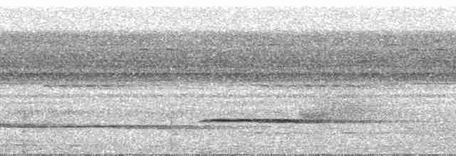 Great Tinamou - ML52395