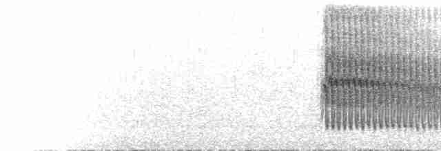 Яванский трогон - ML523986911