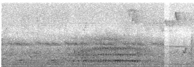 svartkronebrednebb - ML523996241