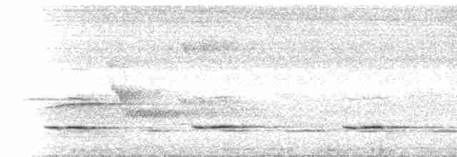 Cape Batis (Gray-mantled) - ML524058
