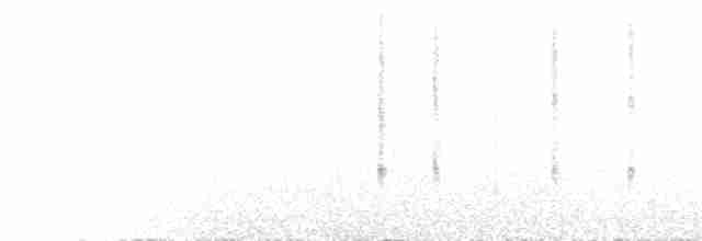 Зондская расписная пеночка - ML524058731