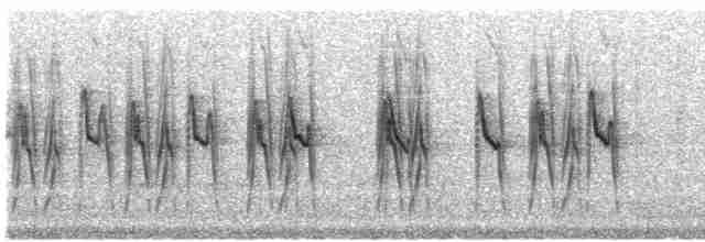 Brown-backed Chat-Tyrant - ML524061501