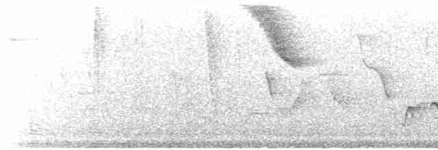 Gray-breasted Wood-Wren - ML524067531