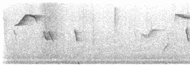 Gray-browed Brushfinch - ML524071521