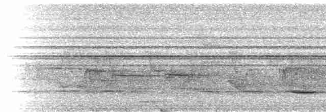 Kapschnäpper [erythrophthalma-Gruppe] - ML524079