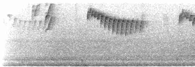 Mountain Wren - ML524089721