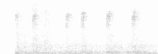 Черноухий колибри - ML524092461