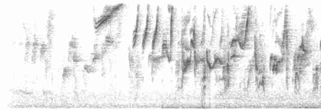 Antioquia Brushfinch - ML524136331