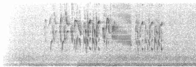 Black-throated Flowerpiercer - ML524142711