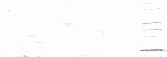 Мурашниця білогорла - ML524192561