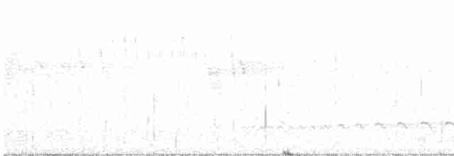 Giant Antshrike - ML524193171