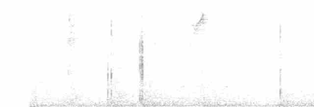 Black-crested Warbler - ML524231301