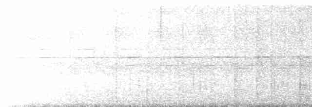 Сероголовый мухоед - ML524313811