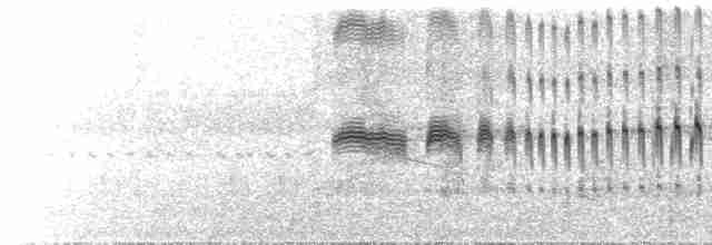  - Great Swallow-tailed Swift